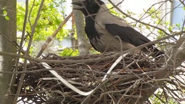 Мокруха 2 смотреть онлайн