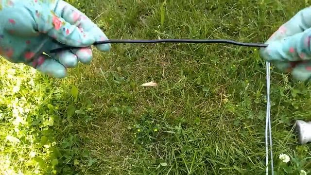 Повесьте кусок проволоки на ветки яблони - и она вмиг заплодоносит! смотреть онлайн