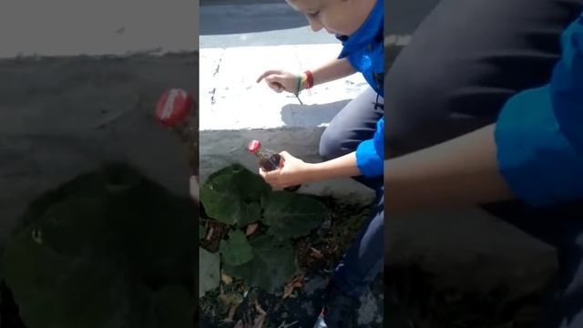 Я научился открывать колу в стекляной банке смотреть онлайн