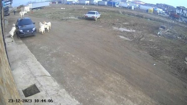 новая машина