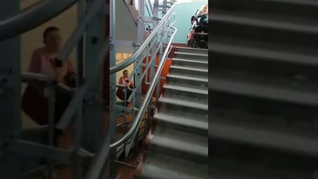 Caterwil gts 5, лето 2021 смотреть онлайн