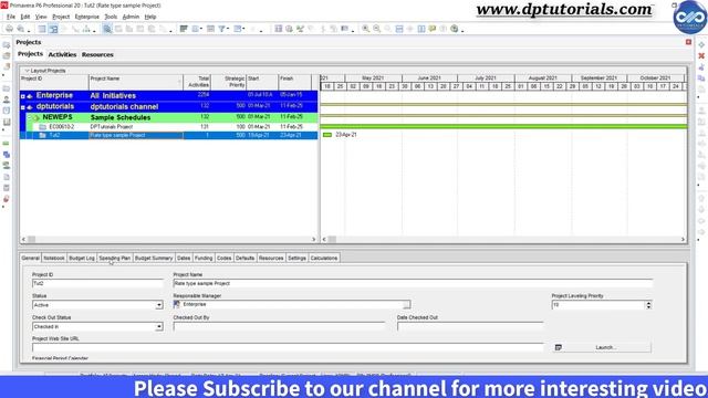 Usage of Rate Types In Primavera P6 - Primavera P6 Settings EXPLAINED || dptutorials смотреть онлайн