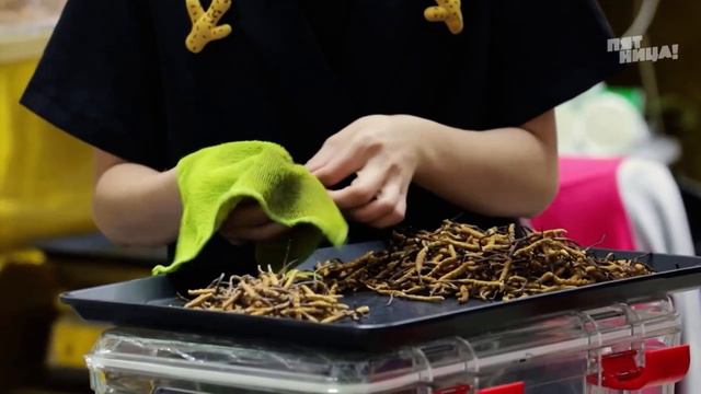 Мир наизнанку. Китай. Традиционная медицина😱