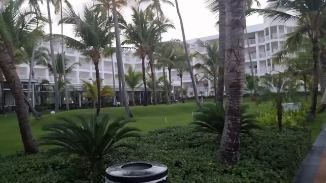 Отдых в Доминикане Отель RIU Palace Punta Cana Пляж и Водоросли смотреть онлайн