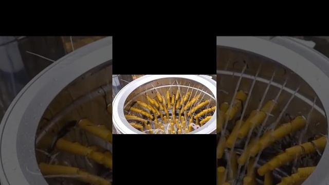 Commercial used De-feathering machine смотреть онлайн