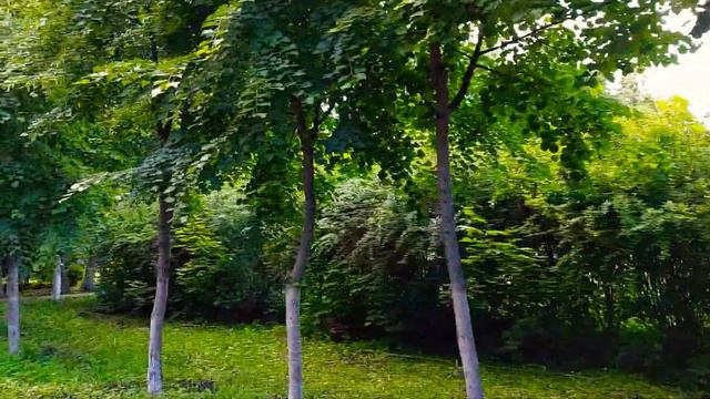 Колокольный звон смотреть онлайн