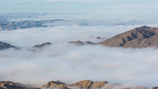 Parque Nacional Pan de Azúcar: farellón costero смотреть онлайн