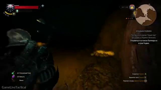 Прохождение Ведьмак 3: Дикая Охота (The Witcher 3: Wild Hunt) — Часть 41: В волчьей шкуре смотреть онлайн