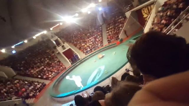 Шоник в Астана цирке 29.11.16 смотреть онлайн