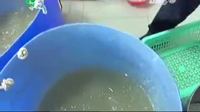 Суши ингредиенты. смотреть онлайн