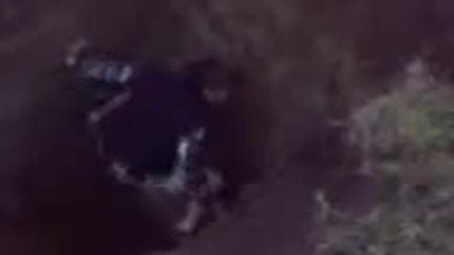 Давай Пича ! смотреть онлайн
