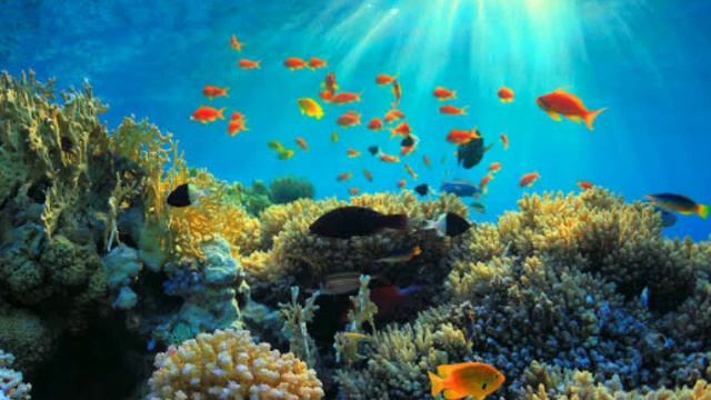 The Beginning смотреть онлайн