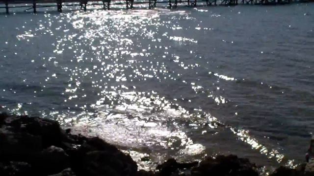 Краб на камне.Египет.Хургада.Красное море.(Crab.Egypt.Red Sea) смотреть онлайн