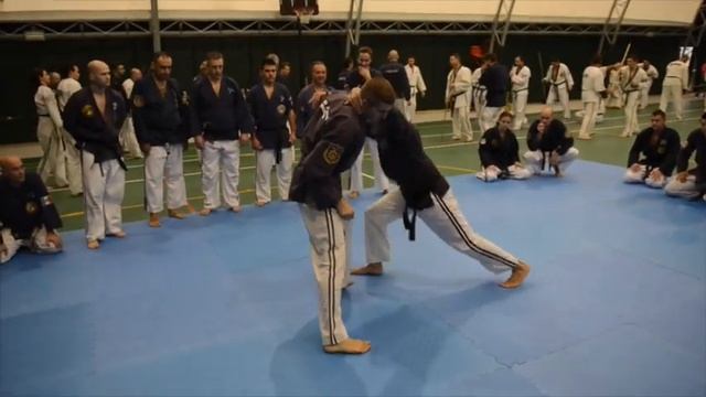 WJJF ITALY - Martial Art "FLY" Seminar - Nov. 30th 2014 - PISA (ITALY) смотреть онлайн
