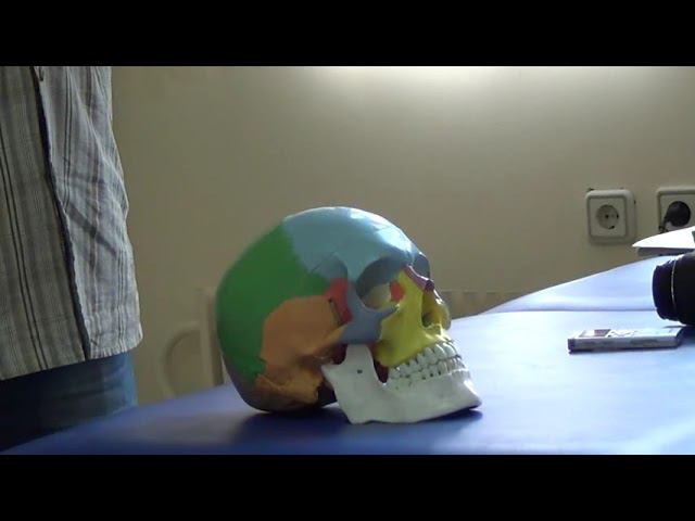 Семинар Краниосакральная терапия 1 КСТ1_15 смотреть онлайн