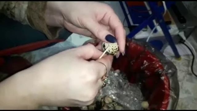 2021 режим инкубации перепелов в инкубаторе матрица Дели, блиц смотреть онлайн