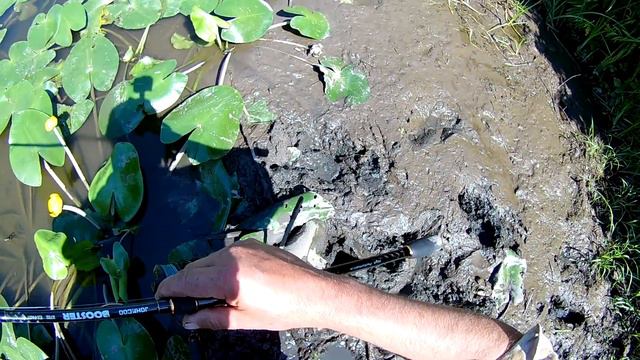 РЫБАЛКА! Чистой воды комедия😜 "Меня засосала опасная трясина." смотреть онлайн