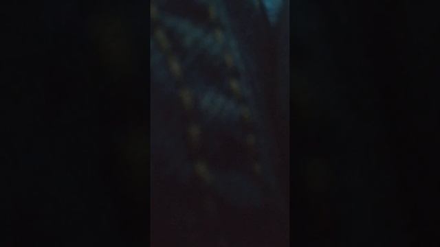 Episode 1 Of Unboxing Greenlight Cars 1979 Ford F-150 And A 1986 Ford Taurus (RoboCop 2) (1990) смотреть онлайн