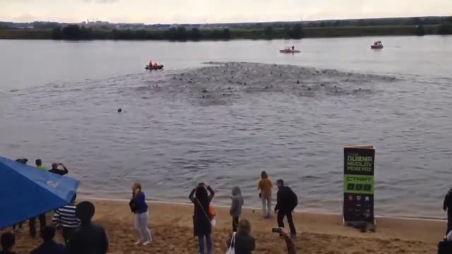 Николов перевоз смотреть онлайн