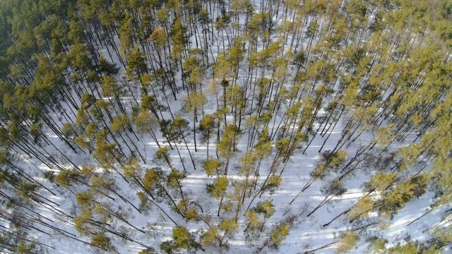 Квадрокоптер XIRO смотреть онлайн