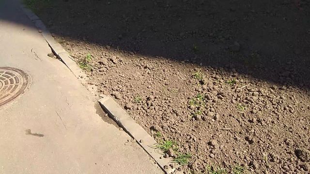 Металлургов д 30 к 1 (28.06.2024)