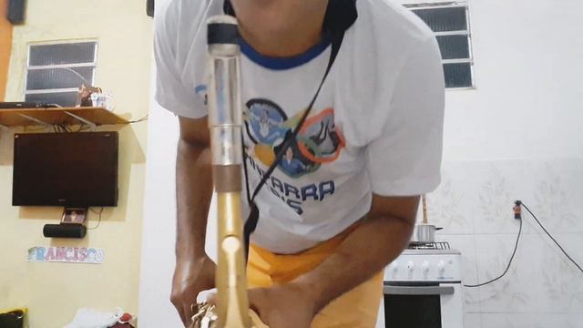 Solo haquiara mi Versão do Plabo do arrocha Tharle do Sax смотреть онлайн