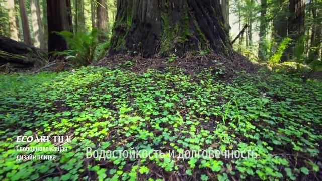 Промо ролик свободно лежащей дизайн плитки ECO ART TILE смотреть онлайн