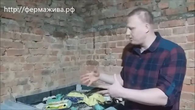 Ферма по разведению червей ЖИВА смотреть онлайн