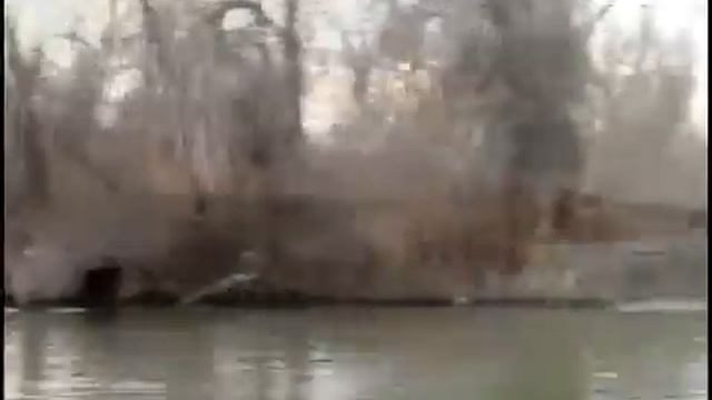 Советы от К Кузьмина смотреть онлайн