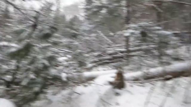 Сопки Дальнего Востока смотреть онлайн