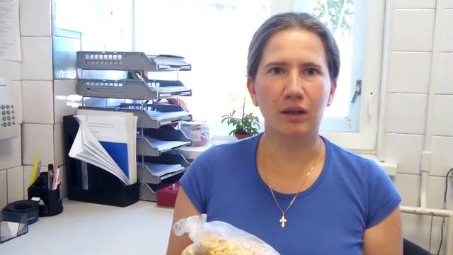 О выявлении Амброзии трехраздельной смотреть онлайн