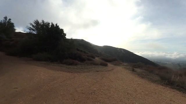 Potato Mountain Hike (Angeles National Forest)