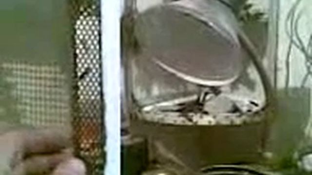 Проржавела микроволновка смотреть онлайн