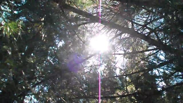 Луч солнца золотого! Видео хорошего настроения! смотреть онлайн