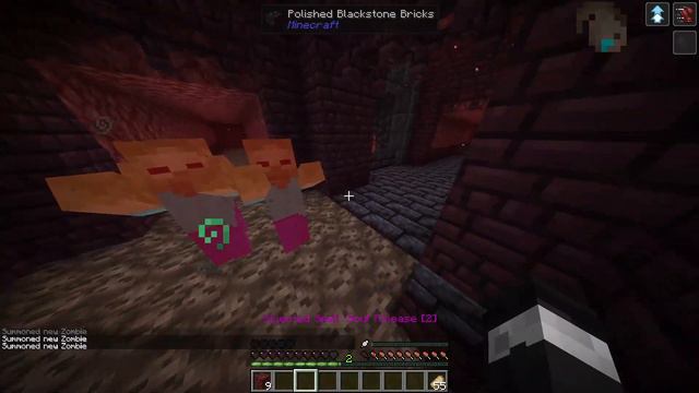 Minecraft Origins Mod: Withermancer (Custom Origin) смотреть онлайн