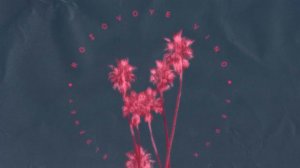 Песня розовое вина