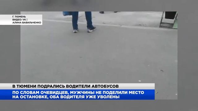 В Тюмени водители автобусов не поделили стоянку и устроили драку смотреть онлайн