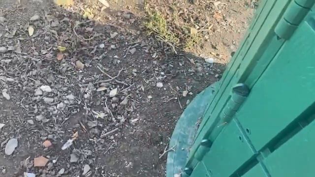 Как обработать выгул у кур после дегельминтизации, во избежании повторного заражения? смотреть онлайн