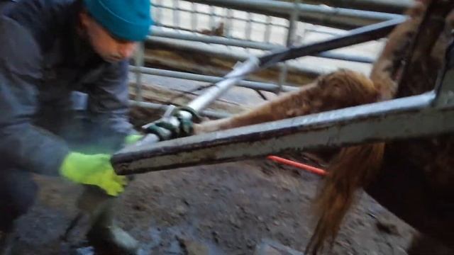 На работе сегодня маникюр - педикюр для девочек смотреть онлайн