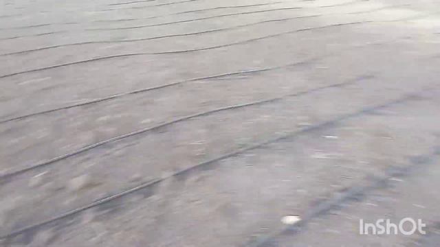 Полив городу💦 крапельний полив то 🔥 Садимо квіти . Хризантеми мультифлори шаровидної. смотреть онлайн