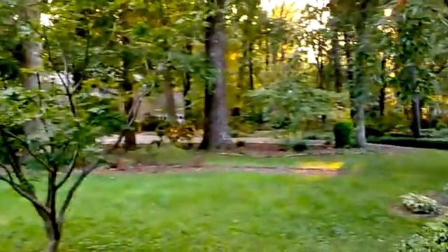 2009-09-07 - Audrey Moran's Front yard смотреть онлайн