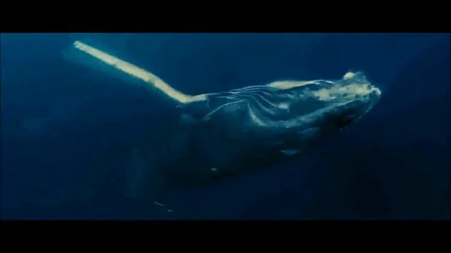 Blue Melody - Lied des Ozeans 🌊 смотреть онлайн