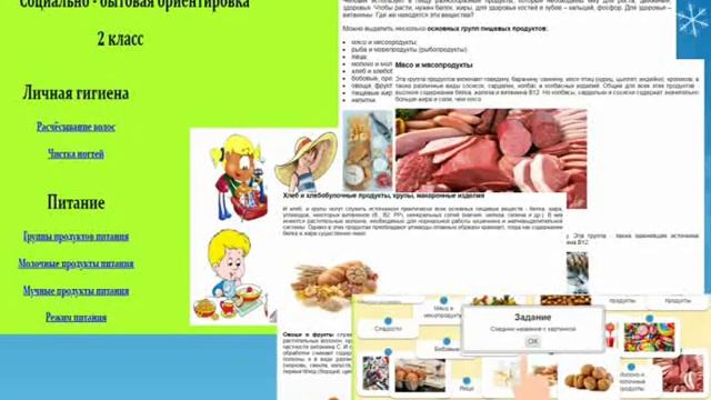 Видео-кейс ЭОР в специальном образовании 