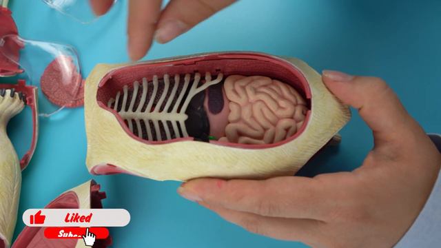 SCARY Puzzle POLAR BEAR 😱 with Hamster Harry 🐹 смотреть онлайн