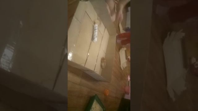 Конец стройки , ложим игрушки в хомколенд. смотреть онлайн