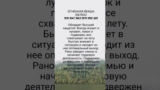 Славянский гороскоп. Огненная векша (белка). #гороскоп #астрология #славянскийгороскоп #зз смотреть онлайн