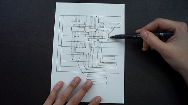 Diagram Of Evolution Of Plants From Geological Periods || Class 12 || Biology смотреть онлайн