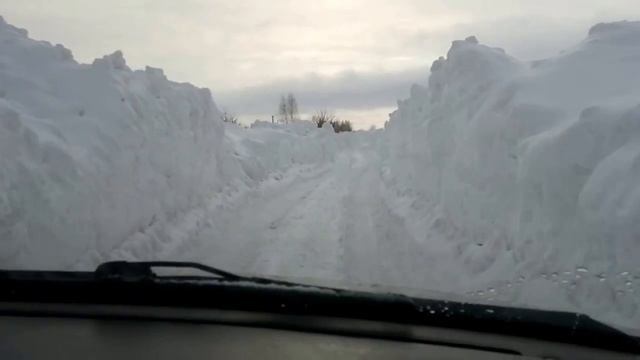 Дачная дорога ведущая к водозабору города Бердска! смотреть онлайн