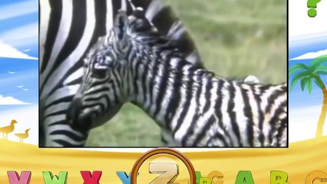 Animal Alphabet with Geoffrey the Giraffe смотреть онлайн