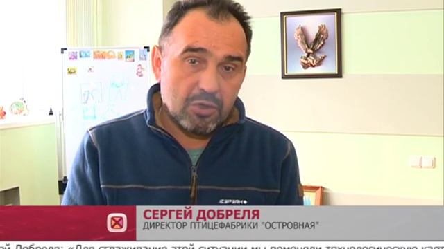 Где яйца??? смотреть онлайн